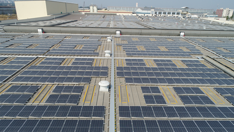 綠色創(chuàng)新，陽光動(dòng)力 維他檸檬茶積極布局新能源，以太陽能發(fā)電助力碳達(dá)峰、碳中和