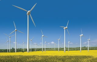 世貿(mào)通引領(lǐng)綠色能源新篇章 美國(guó)內(nèi)華達(dá)州太陽能發(fā)電項(xiàng)目正式發(fā)布